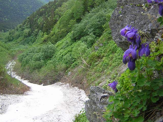 май_2.jpg май_2.jpg